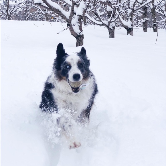 Meet your Posher, Tarynn - Picture 3 of 8